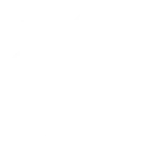 Nyce